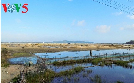 Sa Huynh Salt Village in Quang Ngai - ảnh 2